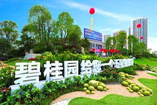 开封碧桂园爆料最新消息,揭秘项目进展与未来规划